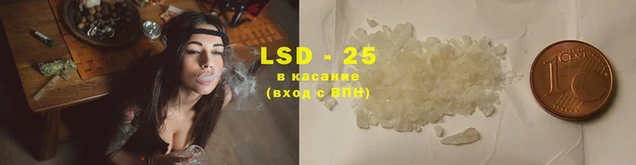 прущие грибы Алзамай