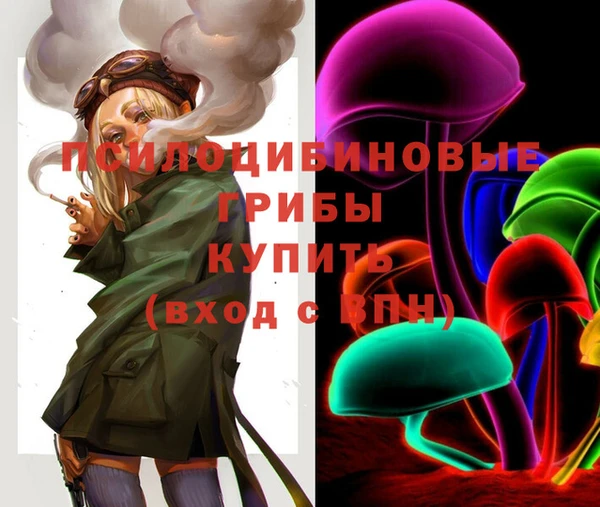 эйфоретик Алексин