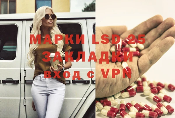 индика Алексеевка