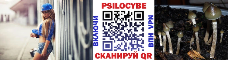 МЕГА вход  Котельники  Псилоцибиновые грибы GOLDEN TEACHER 