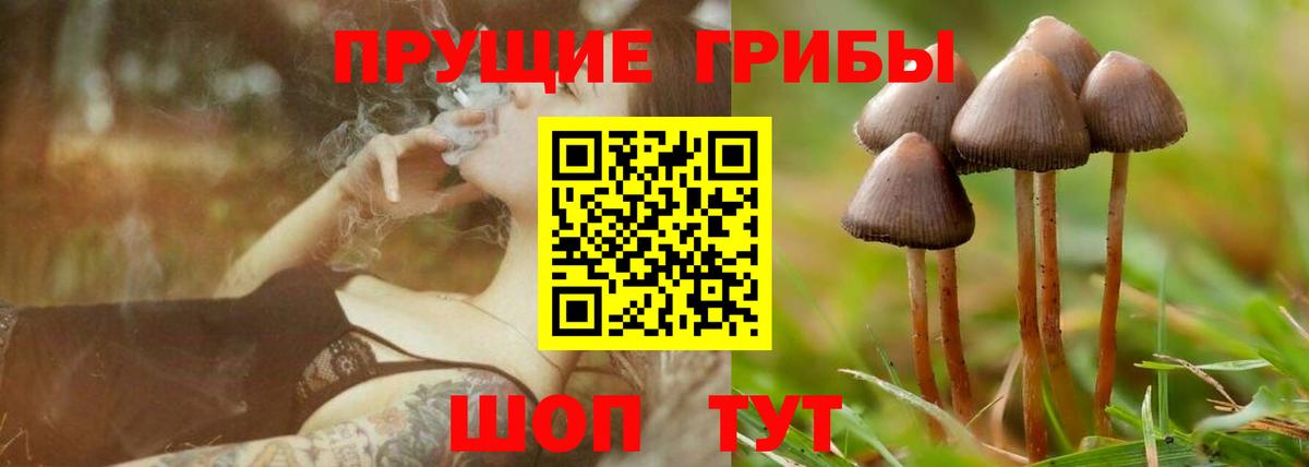 Котельники  Галлюциногенные грибы Magic Shrooms  Вход с VPN 